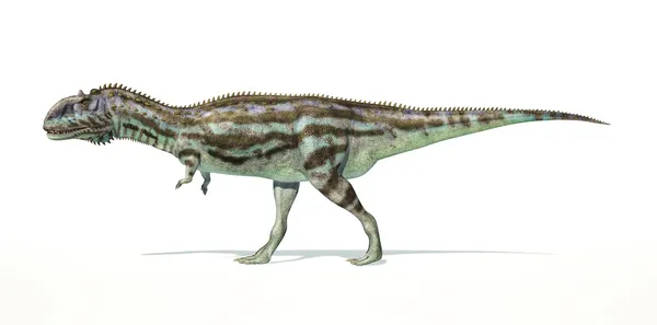Dinosaurio Majungasaurus, representación fotorrealista . —  Fotos de Stock
