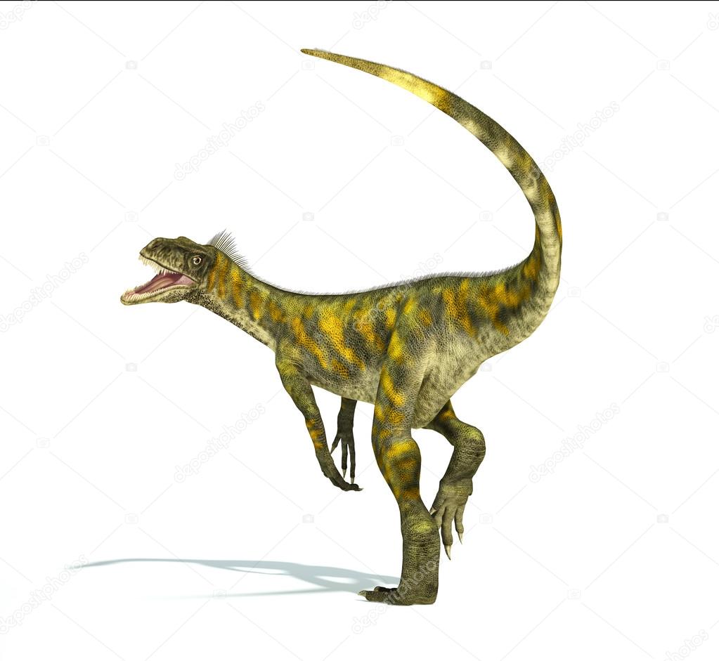 Herrerasaurus dinosaur, photorealistic representation.