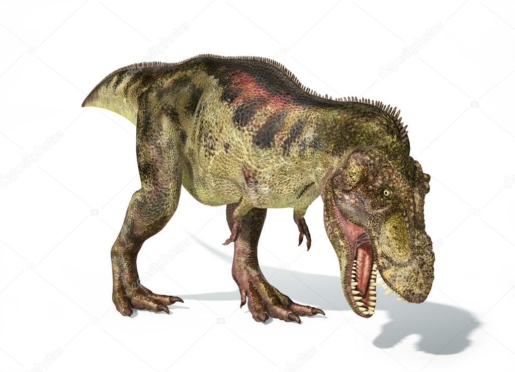 Tyrannosaurus Rex dinosaur, photorealistic representation.