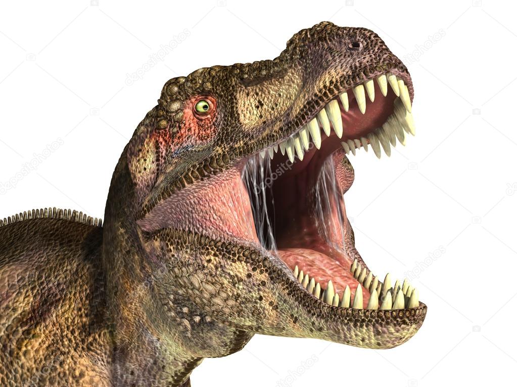 Tyrannosaurus Rex dinosaur, photorealistic representation.
