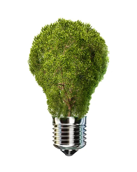 Light bulb with tree — Stock Photo, Image