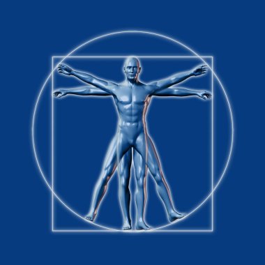 Image inspired on Leonardo da Vinci's Vitruvian man clipart