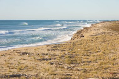 Llobregat nehrinin ağzı, Barcelona 'nın girişindeki bakir plaj..
