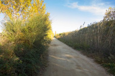 Llobregat nehri kıyıya vardığında toprak yol.