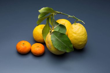 Gri arka planda sarı limon, limon ve yeşil yaprakların bileşimi.