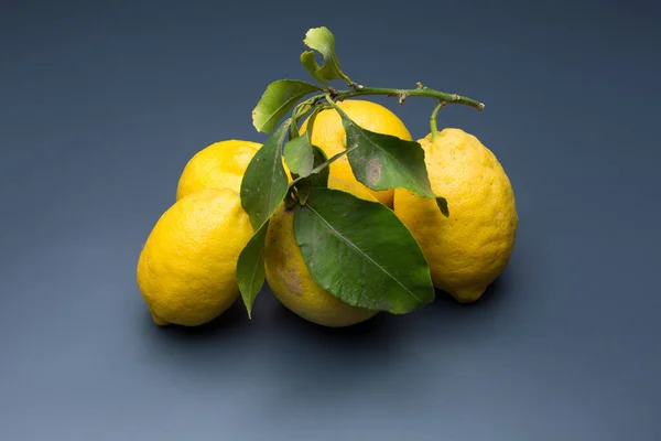Yellow lemon on gray background, composition of lemons and green leaves. — Stock Photo, Image