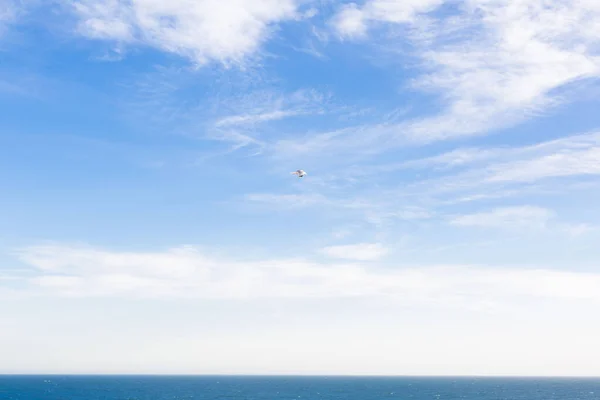 Uçurumun Üstündeki Mavi Gökyüzünde Uçan Martılar — Stok fotoğraf