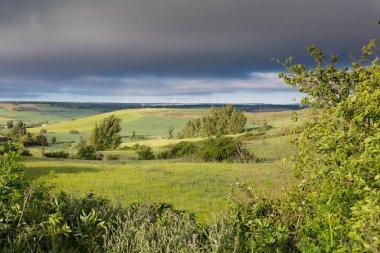 Kastilya Tarlaları, İspanya İlkbaharda, Burgos şehri yakınlarında..