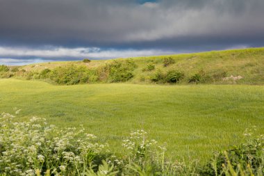 İlkbaharda Castilla, İspanya 'nın yeşil manzaraları, Burgos şehrinin girişindeki hacıların geçidi..