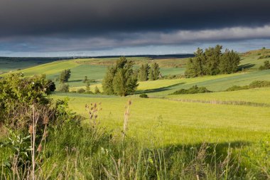 Kastilya Tarlaları, İspanya İlkbaharda, Burgos şehri yakınlarında..