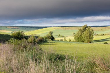 İlkbaharda Castilla, İspanya 'nın yeşil manzaraları, Burgos şehrinin girişindeki hacıların geçidi..