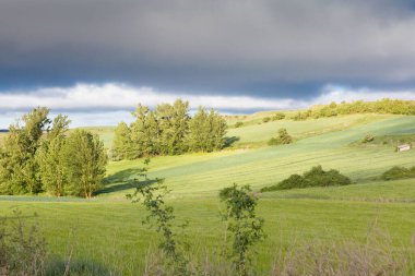 Fields of Castile, Spain in Spring, near the city of Burgos.