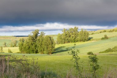 İlkbaharda Castilla, İspanya 'nın yeşil manzaraları, Burgos şehrinin girişindeki hacıların geçidi..