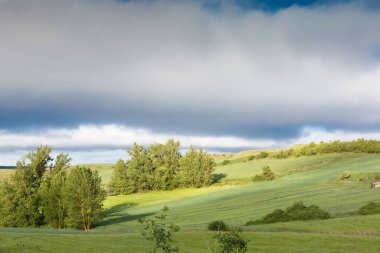 İlkbaharda Castilla, İspanya 'nın yeşil manzaraları, Burgos şehrinin girişindeki hacıların geçidi..