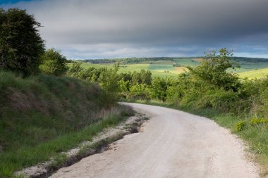 İlkbaharda Kastilya 'daki toprak yollar Camino de Santiago' daki hacıların geçişi.