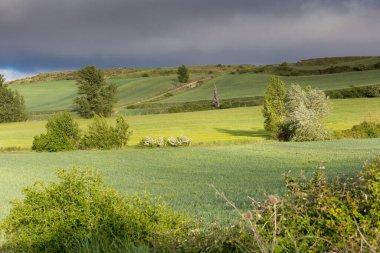 İlkbaharda Castilla, İspanya 'nın yeşil manzaraları, Burgos şehrinin girişindeki hacıların geçidi..