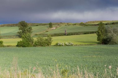 Kastilya Tarlaları, İspanya İlkbaharda, Burgos şehri yakınlarında..