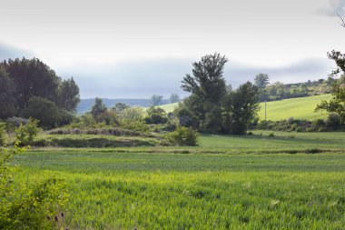 İlkbaharda Castilla, İspanya 'nın yeşil manzaraları, Burgos şehrinin girişindeki hacıların geçidi..