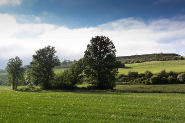 İlkbaharda Castilla, İspanya 'nın yeşil manzaraları, Burgos şehrinin girişindeki hacıların geçidi..