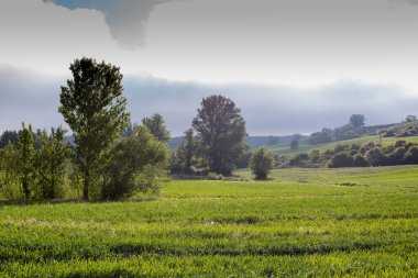 İlkbaharda Castilla, İspanya 'nın yeşil manzaraları, Burgos şehrinin girişindeki hacıların geçidi..