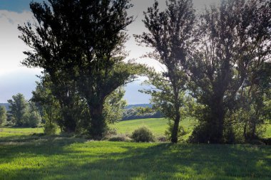 İlkbaharda Castilla, İspanya 'nın yeşil manzaraları, Burgos şehrinin girişindeki hacıların geçidi..