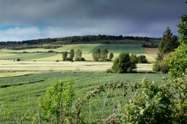 İlkbaharda Castilla, İspanya 'nın yeşil manzaraları, Burgos şehrinin girişindeki hacıların geçidi..