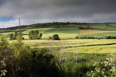 İlkbaharda Castilla, İspanya 'nın yeşil manzaraları, Burgos şehrinin girişindeki hacıların geçidi..