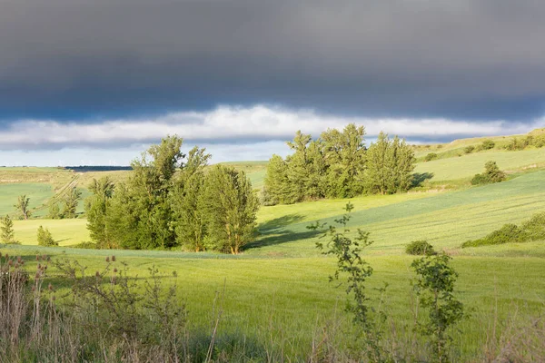 İlkbaharda Castilla, İspanya 'nın yeşil manzaraları, Burgos şehrinin girişindeki hacıların geçidi..