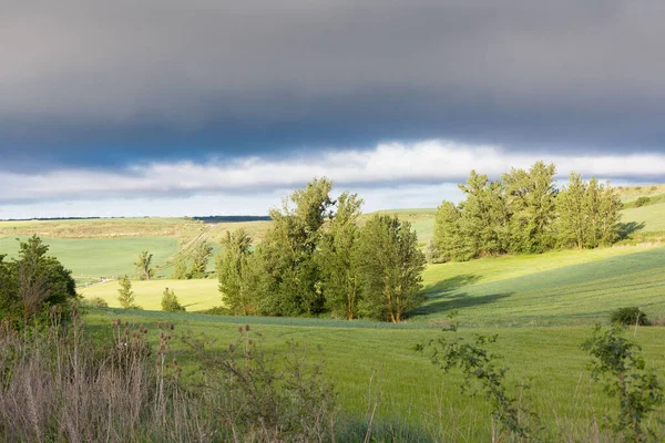 Kastilya Tarlaları, İspanya İlkbaharda, Burgos şehri yakınlarında..