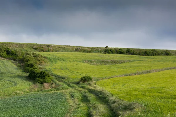 Kastilya Tarlaları, İspanya İlkbaharda, Burgos şehri yakınlarında..