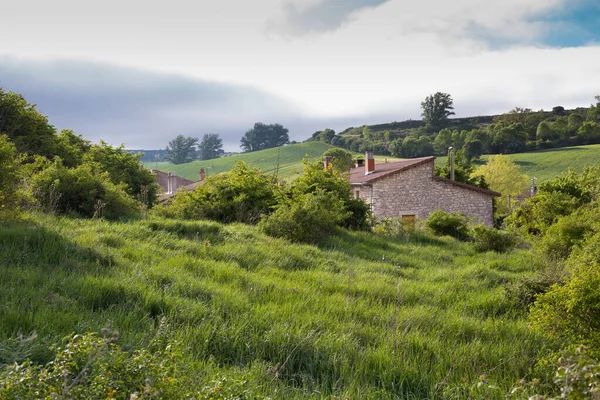 Zielone Krajobrazy Kastylii Hiszpania Wiosną Obszar Przejścia Pielgrzymów Przy Wejściu — Zdjęcie stockowe