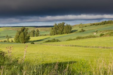 Green landscapes of Castilla, Spain in spring, pilgrims passage area at the entrance to the city of Burgos.