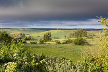 Kastilya Tarlaları, İspanya İlkbaharda, Burgos şehri yakınlarında..