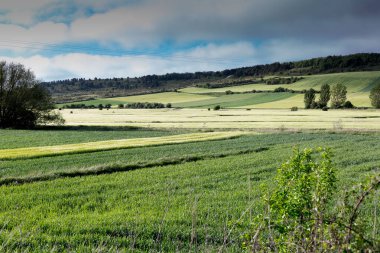 İlkbaharda Castilla, İspanya 'nın yeşil manzaraları Burgos şehrinin girişindeki hacılar geçidi..
