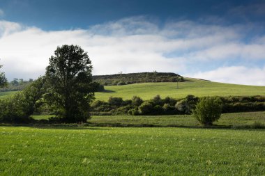 Green landscapes of Castilla, Spain in spring, pilgrims passage area at the entrance to the city of Burgos.