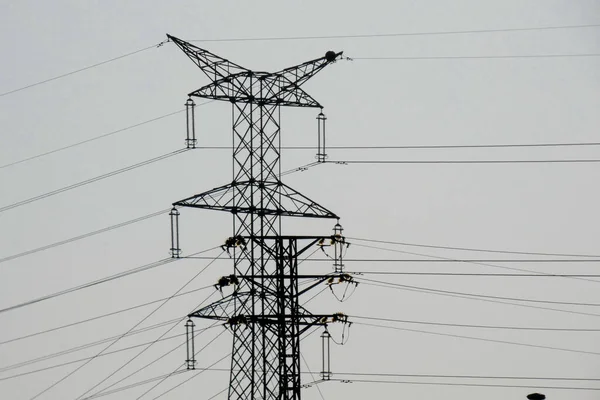 silhouette electric towers supporting copper cables to transport electric energy