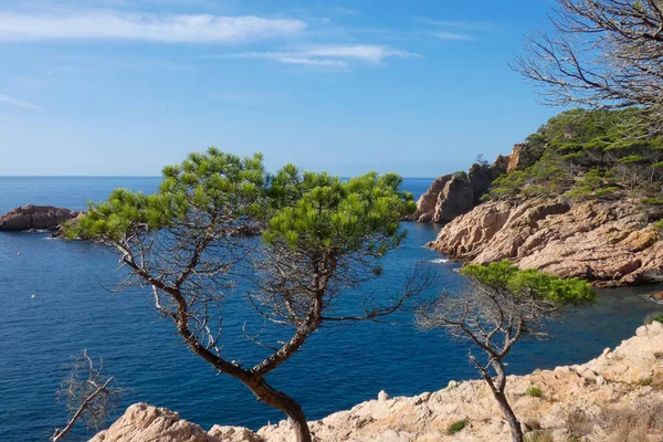 Rotsen Eilandjes Aan Middellandse Zeekust Catalaanse Costa Brava — Stockfoto