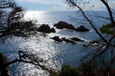 Akdeniz 'deki Katalan Costa Bravo' daki çamlar, kayalar ve uçurumlar