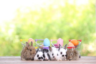 Yeşil çimlerin üzerinde oturan sevimli ve sevimli tavşan. Küçük ve genç tavşancık sevimli tüylü bir evcil hayvan. Sarı arka planda Paskalya konsepti, yumurta ve çimen doğa arka planı olarak Bokeh ile