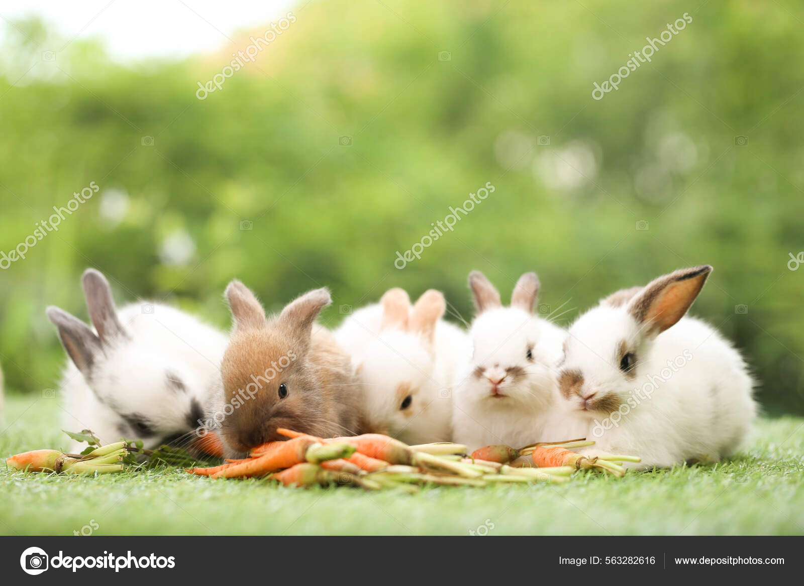 Cute Little Rabbit Green Grass Natural Bokeh Background Spring
