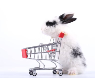 Küçük şirin tavşan standı ve beyaz arka planda tramvayı tut. Küçük sevimli tavşancık küçük alışveriş arabaları ve hareketler oynuyor. Pazarlama fikri çok güzel..