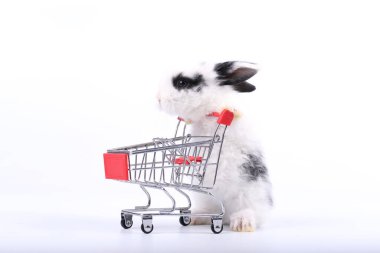 Küçük şirin tavşan standı ve beyaz arka planda tramvayı tut. Küçük sevimli tavşancık küçük alışveriş arabaları ve hareketler oynuyor. Pazarlama fikri çok güzel..