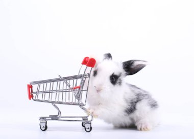 Küçük şirin tavşan standı ve beyaz arka planda tramvayı tut. Küçük sevimli tavşancık küçük alışveriş arabaları ve hareketler oynuyor. Pazarlama fikri çok güzel..