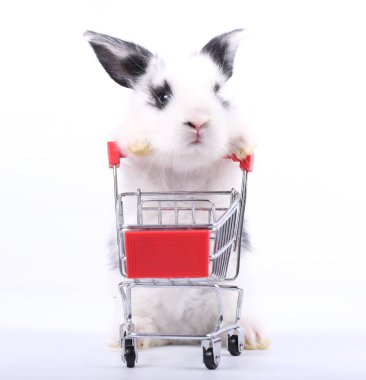Küçük şirin tavşan standı ve beyaz arka planda tramvayı tut. Küçük sevimli tavşancık küçük alışveriş arabaları ve hareketler oynuyor. Pazarlama fikri çok güzel..