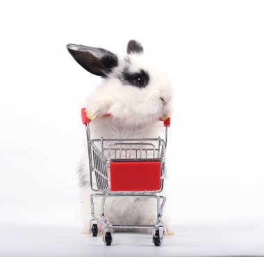 Küçük şirin tavşan standı ve beyaz arka planda tramvayı tut. Küçük sevimli tavşancık küçük alışveriş arabaları ve hareketler oynuyor. Pazarlama fikri çok güzel..