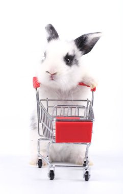 Küçük şirin tavşan standı ve beyaz arka planda tramvayı tut. Küçük sevimli tavşancık küçük alışveriş arabaları ve hareketler oynuyor. Pazarlama fikri çok güzel..