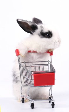 Küçük şirin tavşan standı ve beyaz arka planda tramvayı tut. Küçük sevimli tavşancık küçük alışveriş arabaları ve hareketler oynuyor. Pazarlama fikri çok güzel..