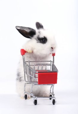 Küçük şirin tavşan standı ve beyaz arka planda tramvayı tut. Küçük sevimli tavşancık küçük alışveriş arabaları ve hareketler oynuyor. Pazarlama fikri çok güzel..