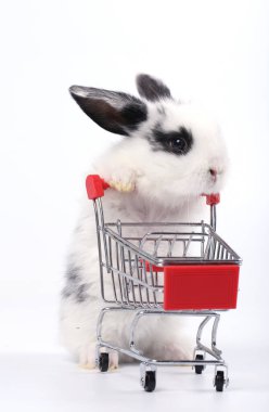 Küçük şirin tavşan standı ve beyaz arka planda tramvayı tut. Küçük sevimli tavşancık küçük alışveriş arabaları ve hareketler oynuyor. Pazarlama fikri çok güzel..