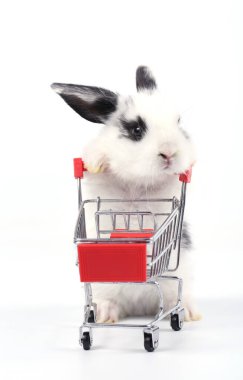 Küçük şirin tavşan standı ve beyaz arka planda tramvayı tut. Küçük sevimli tavşancık küçük alışveriş arabaları ve hareketler oynuyor. Pazarlama fikri çok güzel..